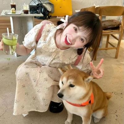翼神世音 多元变奏曲
